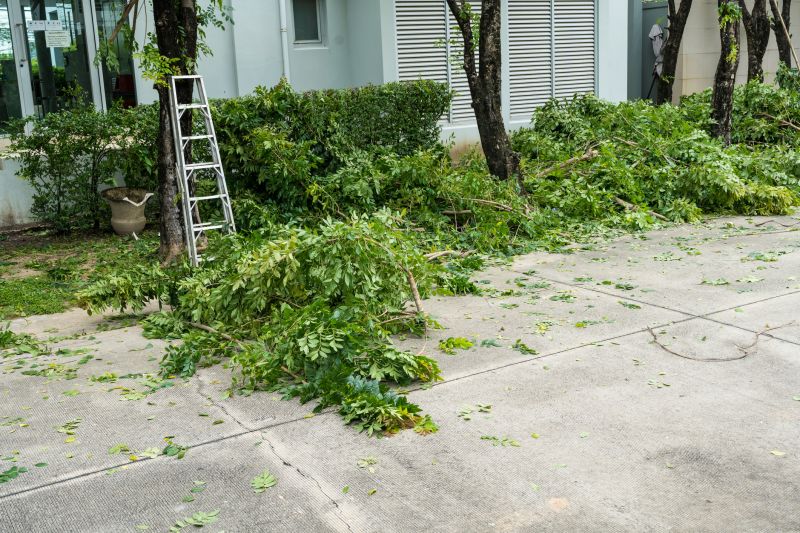 Apple Tree Removal in Bucks County, PA