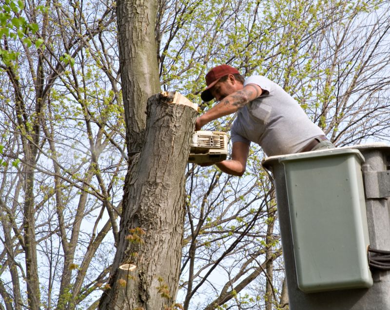 Tree Staking Service detail