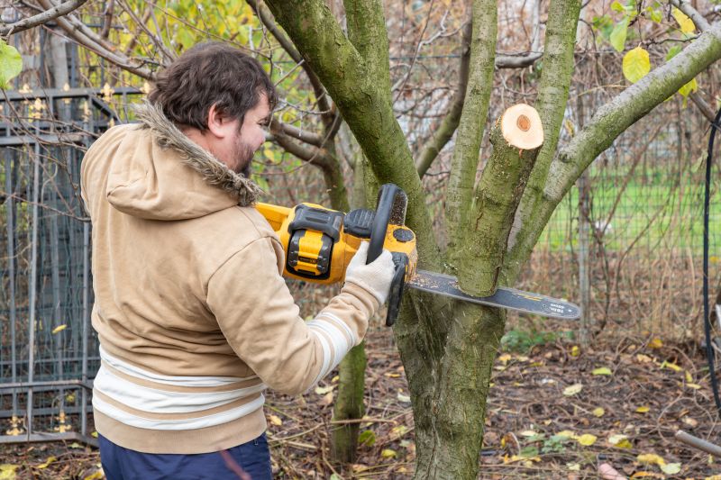 Tree Staking Service detail