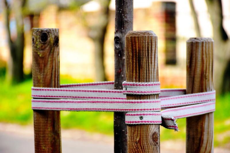 Tree Staking Service detail